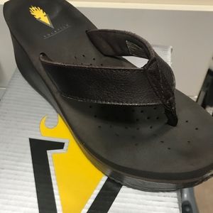 dark brown Volatiles